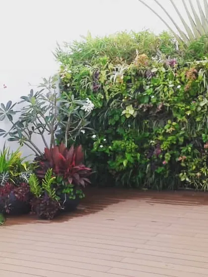 This rooftop terrace design demonstrates a diverse and functional green space. It combines a lush vertical garden packed with varied plant species, a manicured lawn area, and a wooden deck, all supported by an automated irrigation system for hassle-free maintenance.