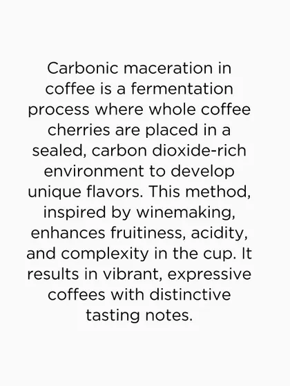 An explanation of carbonic maceration, a fermentation process inspired by winemaking that enhances a coffee's fruitiness and complexity.