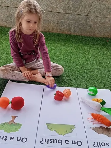 This sorting activity asks children to think critically about where different vegetables come from. Here, a child categorizes toy vegetables based on whether they grow on a tree, a bush, or in the soil.