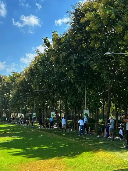A sunny afternoon with a long line of golfers practicing their swings. The tree lined range provides a serene yet active environment.