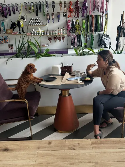 A perfect date! A customer enjoys a meal at our in-store cafe alongside her furry best friend, who has his own seat at the table. This embodies our philosophy of including pets in every aspect of life.