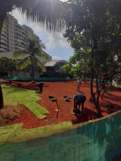 A shot showing the contrast between the newly laid grass and the soil yet to be covered.