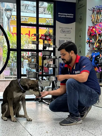 Meet Tyson, a rescued stray who found a new life and a loving family with our team at the New Friends Colony store in Delhi.