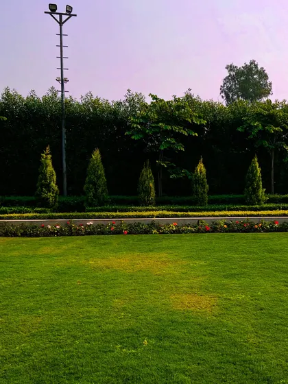 A view across the main lawn towards a layered border of hedges and trees. This formal arrangement creates a sense of depth and grandeur.