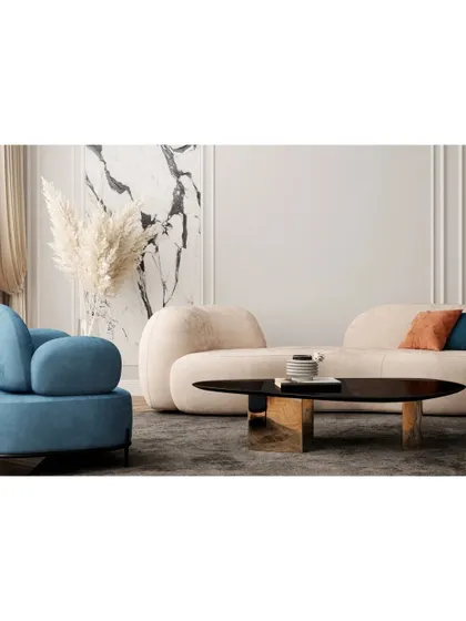 This image highlights our use of sculptural furniture. The organically shaped sofa and armchair in contrasting colors create a modern, artful, and comfortable seating arrangement.
