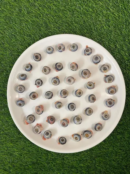 Chicken Eyes, another novel addition for the adventurous raw feeder. They are a natural source of various micronutrients.