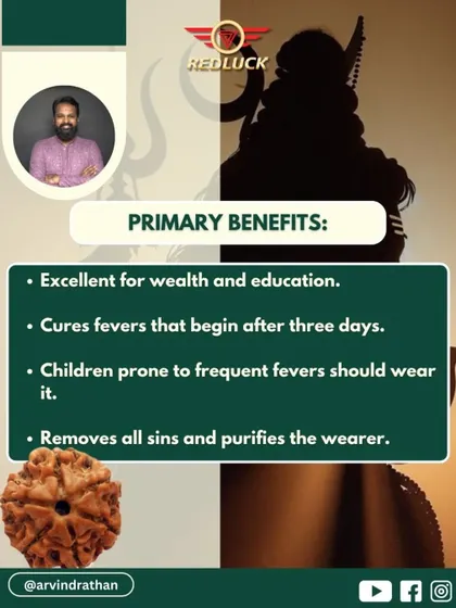 The primary benefits of the Three-Faced Rudraksha include attracting wealth and success in education. It is also known to cure fevers, especially in children, and purifies the wearer of past sins.