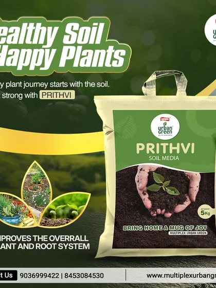 The principle is simple: healthy soil leads to happy plants. Our Prithvi Soil Media is expertly blended to improve your plant's entire root system, forming the strong foundation needed for a thriving garden.