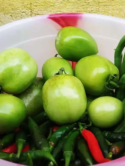 Imagine stepping out to your balcony or terrace and picking your own fresh vegetables for dinner. This bowl of homegrown green tomatoes, beans, and chillies shows the rewarding harvest you can enjoy with a custom vegetable garden I design and install for you.
