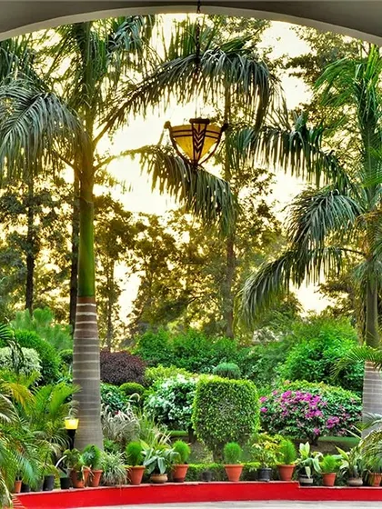 Guardians of tranquility. Majestic palm trees stand tall in this garden sanctuary, framing a view of layered shrubs and flowers, creating a sense of depth and grandeur.