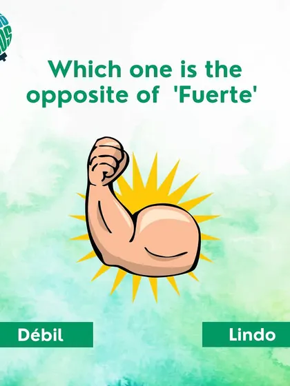 What is the opposite of 'fuerte' (strong)? Is it 'débil' or 'lindo'? A great way to expand your vocabulary.