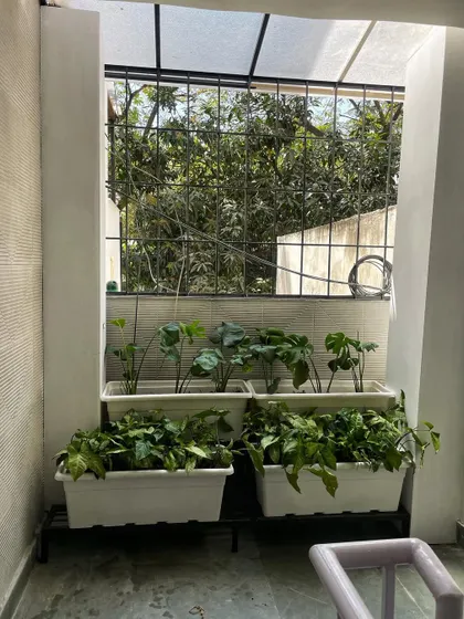 A simple yet effective way to green up a small, awkward space. We used our two-tiered planter stands to create a vertical garden in this narrow service balcony.