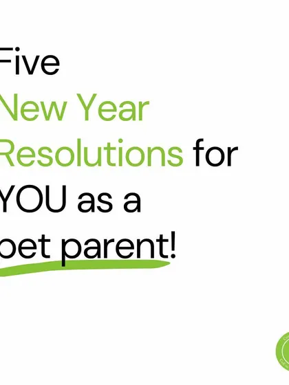 Here are five New Year's resolutions to help you take your relationship with your dog to the next level. Let's focus on play, understanding, and kindness.