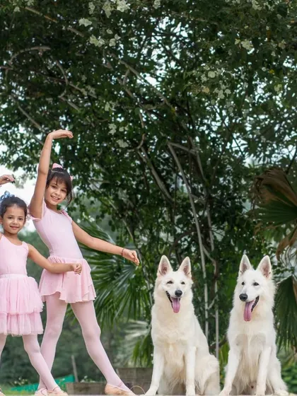 A beautiful family photo of two sisters in their ballet outfits posing with their two stunning White Swiss Shepherds.