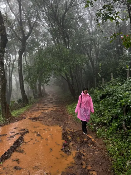 A trekker in a pink poncho walks along a muddy path in a misty forest.