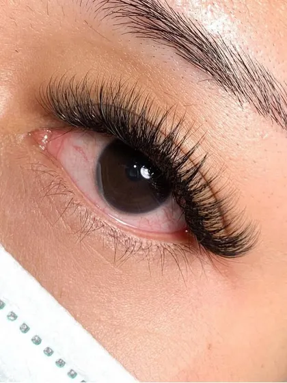 An extreme close-up of a volume fan. You can see how multiple fine lashes are joined at the base to create that full, feathery look.