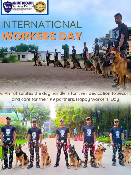 On International Workers' Day, we salute our dedicated dog handlers and their K9 partners. This image shows our patrol teams, who work tirelessly to provide security and care for their canine partners.