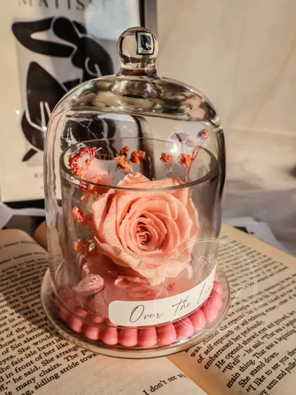 Another view of the soft peach Eternal Rose.