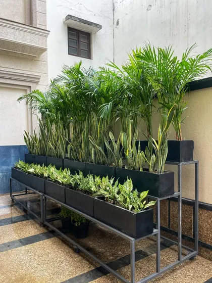This setup shows how our planter boxes can be elevated on custom iron stands. This is a great solution for creating a multi-level garden or for spaces where you want to avoid placing pots directly on the floor.