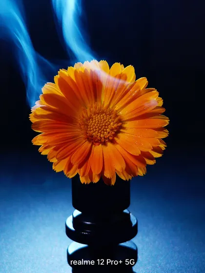 A creative and artistic shot of a flower with smoke, taken on a Realme phone. This demonstrates how to use the device for more than just simple snapshots.