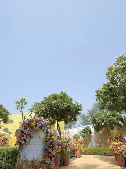 The entrance to the vibrant Haldi lunch, with a floral-wreathed welcome sign. The path was lined with terracotta pots filled with colorful flowers, creating a cheerful and inviting entryway.