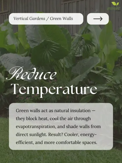 Stay cooler with a living wall. Through evapotranspiration and by shading walls from direct sunlight, our green walls naturally cool the air, creating more comfortable spaces.
