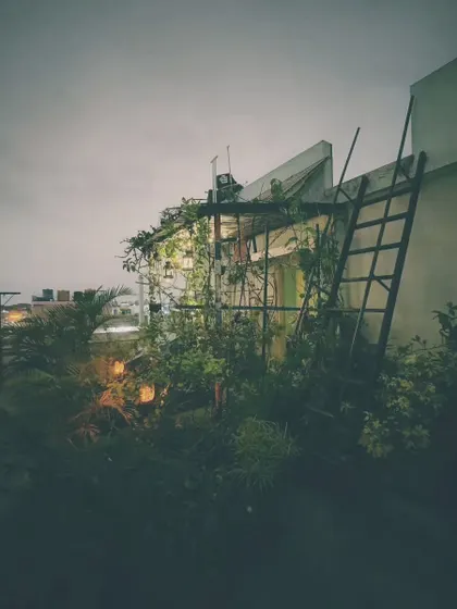 The side view of the garden structure at night, with the ladder hinting at the different levels of greenery. The lights are woven through the plants, making them sparkle.