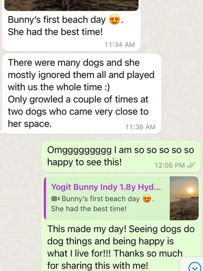 This conversation with Bunny's owner made my day. Seeing dogs get to be dogs, happy and carefree, is the reason I do this work.