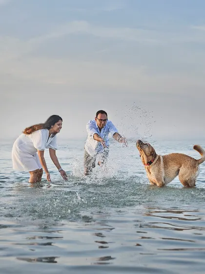 Pure, splashing joy at a dog-friendly beach in Dubai! This is what happens when we let your pet lead the way. We spent the evening chasing waves and capturing Astro the Labrador in his element, creating memories of pure, uninhibited fun for his family.