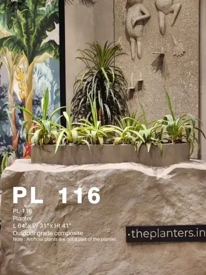 This long, trough-style planter is displayed on a large boulder, showcasing a creative way to elevate your greenery. The '.theplanters.in' branding indicates our specialized vertical.