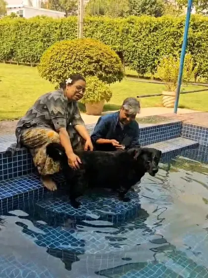 The pool is for the whole family. Here, a couple enjoys a relaxing moment in the water with their beloved black Labrador, Sultan. It's a great way to spend quality time together.