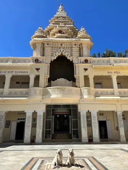 We were pleasantly surprised to be allowed inside Kirti Mandir, Mahatma Gandhi's birthplace. The security guard's compassionate attitude was a reminder that a well-behaved dog is the best ambassador.