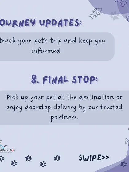 On travel day, your pet boards their flight. We track their trip and keep you informed with journey updates. Upon arrival, you can pick up your pet or opt for our trusted partners to provide doorstep delivery.