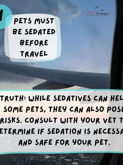 Myth: Pets must be sedated. Truth: Sedation can pose risks during flight. We recommend consulting with your vet to determine if it is safe and necessary for your specific pet.