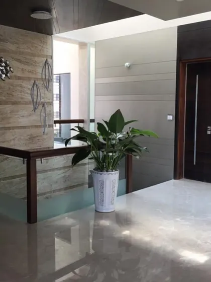 A beautiful Bird of Paradise plant in a white pot, perfectly positioned at the top of a staircase to create an elegant and welcoming focal point.