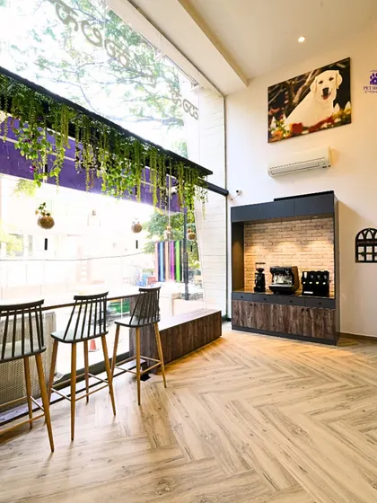 The bright and airy interiors of our Pet Hotel. We've designed the space with large windows and comfortable seating to create a stress-free environment for pets and their parents.