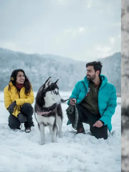 A happy couple with their husky in the fresh snow of North India. Including pets in your pre-wedding shoot can add a wonderful, personal touch.
