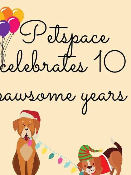 We recently celebrated 10 pawsome years of Petspace! It's been a decade of wagging tails, wet noses, and unconditional love. Thank you to our wonderful community for being part of our journey.