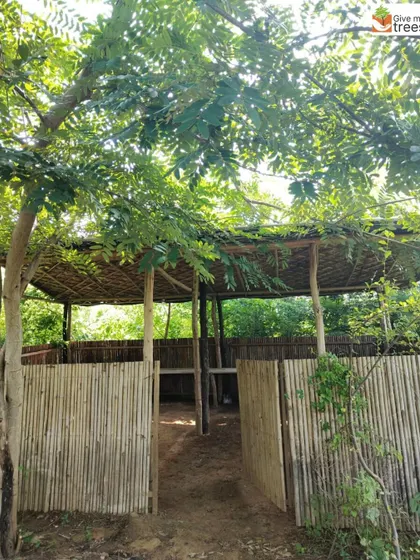 The bamboo hut at our Neem Karoli site provides a shaded, rustic shelter for our team and visitors. It is built entirely from natural materials, reflecting our commitment to sustainability in all aspects of our work.