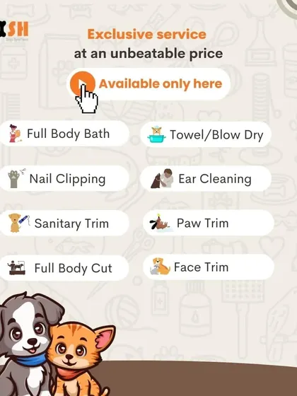 This graphic shows the full list of services included in my grooming packages, from a full body bath and blow dry to nail clipping, ear cleaning, and sanitary trims.