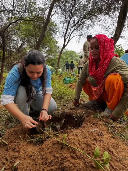 A Carrier India volunteer works with our team to plant a native sapling, part of an effort to combat the 18,200 hectares of primary forest India lost in 2024.