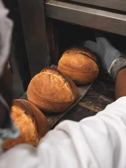 Freshly baked sourdough loaves being taken out of the oven. The deep golden-brown crust is a sign of a perfect bake.