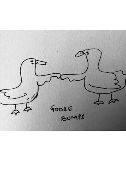 A simple pun that always makes me smile: two geese giving each other "Goose bumps".