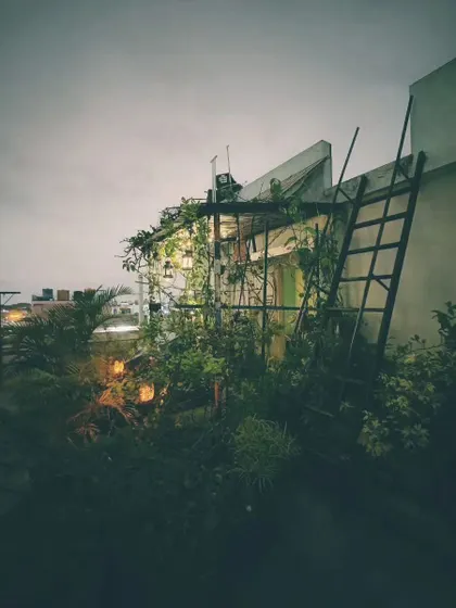 A duplicate image, but it reinforces the serene and stable atmosphere of the garden at night. The consistent beauty is part of its charm.