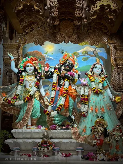 The divine idols of Radha and Krishna, beautifully decorated for the Janmashtami festival.