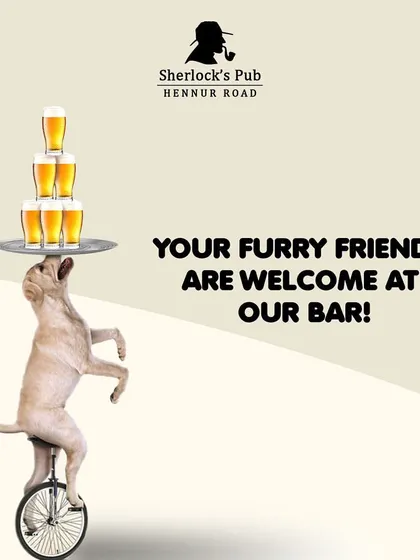 Your furry friends are welcome at our bar. This playful graphic shows that we're serious about being a pet-friendly establishment.