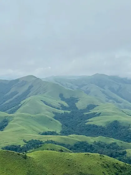 A classic landscape shot of the green, rolling hills of the Kudremukh range, as seen from the Gangadikal trek.