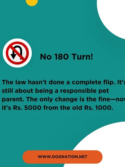 This graphic reiterates the update to the fine in IPC Section 289, emphasizing that the core of the law remains focused on being a responsible pet parent.