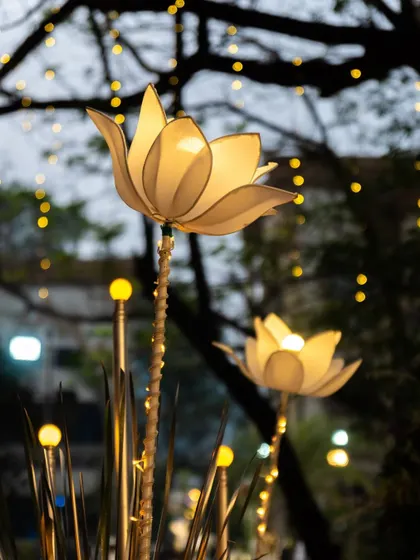 A close-up of the custom-made illuminated lotus flowers used to line the walkway. These details are what make an event's decor stand out and feel truly special.