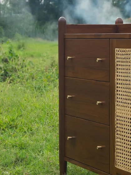A detailed look at the Ballygunge Console Series, showcasing the fine craftsmanship, brass hardware, and versatile configurations we can create for bespoke storage units like credenzas, TV consoles, and sideboards.